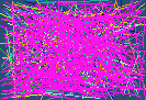 lookup phone number